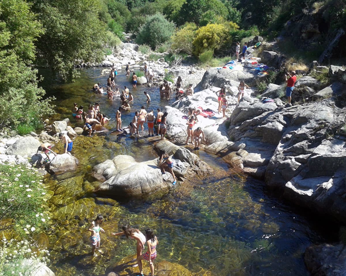 Campamentos de verano