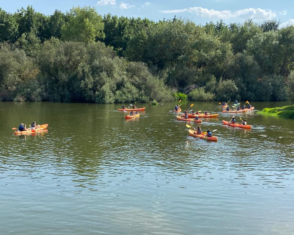 Ruta en kayak por el río